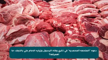 دعوة “الملحمة المحمدية” في ذكرى وفاة الرسول وزيارة الإمام علي بالنجف: ما أهميتها؟